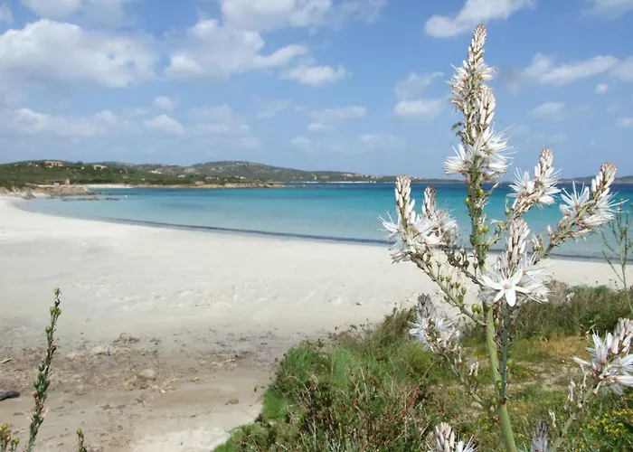 Pellicano By Interhome Сasa de vacaciones