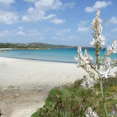 Pellicano By Interhome Будинок відпочинку